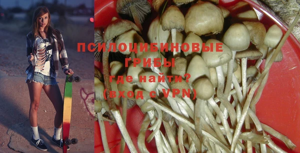 прущий лед Абаза
