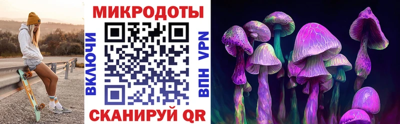 Псилоцибиновые грибы MAGIC MUSHROOMS  купить закладку  Алдан 
